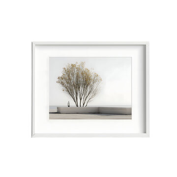 Minimalist framed picture of tree with bare branches  isolated on white background