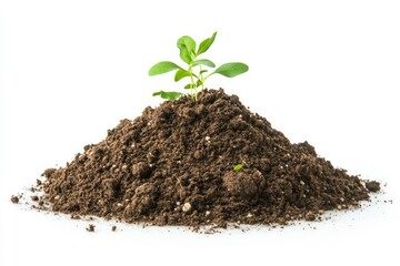 Green plant emerging from soil pile on white background. AI generated