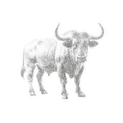 Dotwork Bull – Stippled Bovine Animal Vector
