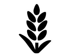 autumn icon 12A : Rice Plant Silhouette, september, october, november, rice, plant, silhouette, crop, harvest, autumn, agriculture, farm, nature, grain, outline, stalk, minimal, seasonal, black, 