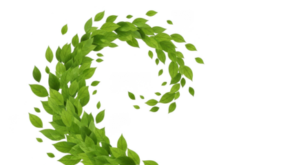 Verdant spiral of floating leaves