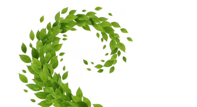 Verdant spiral of floating leaves