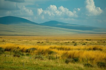 Fototapeta premium Panoramic view of a vast, golden grassland stretching to a horizon of rolling hills.