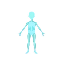 transparent human body silhouette in glowing blue style symbol for health anatomy and wellness high quality png isolated on transparent background