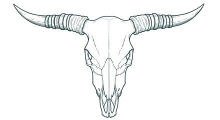 Isolated Cow Skull Line Art