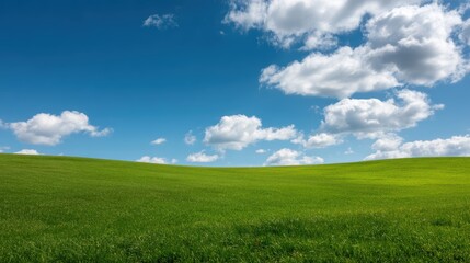 Fototapeta premium A lush green grassy field under a vibrant blue sky filled with fluffy white clouds on a sunny day