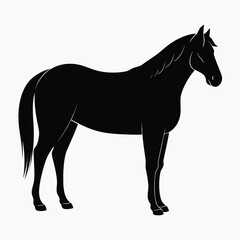 Horse Silhouette Vector Black Minimalist Horse Outline Design for Logos & Artwork