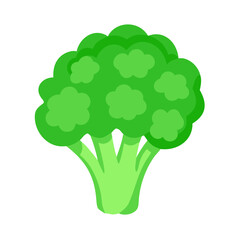 broccoli fresh vegetable