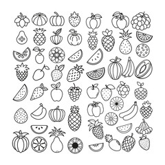 A colorful set of delicious fruits illustration featuring tropical and seasonal varieties on a clean white background. Perfect for food, health, organic, and lifestyle design projects.