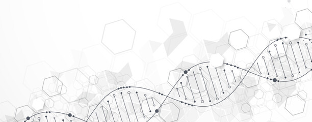 Abstract hexagon futuristic background for design works.
Science template, wallpaper or banner with a DNA molecules.