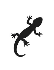 Silhouette of a lizard