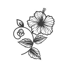 Hibiscus Flower Illustration - Tropical Floral Design
