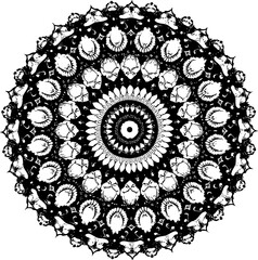Abstract black and white floral mandala design with nature-inspired decorative elements