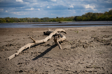 A log lying on the beach