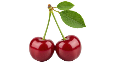 Isolated Pair of Red Cherries