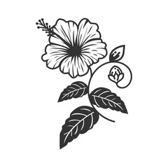 Elegant Hibiscus Line Art - Sleek Botanical Illustration
