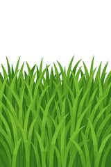 Obraz premium The serene image of a vast field of green oats gently swaying in the breeze evokes feelings of peace and freedom, exemplifying the inherent beauty of rural landscapes and the grandeur of agricultural