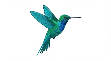 Obraz premium hummingbird in flight