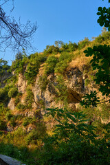 Hillside Cliffside with Trees, Vegetation, Sunny Blue Sky