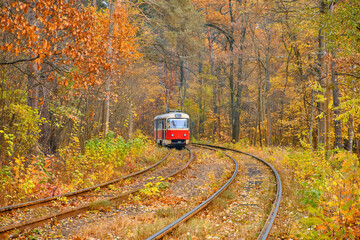 Pushcha-Vodytsia Tram on a Straight Forest Track