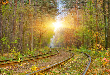 Pushcha-Vodytsia Tram on a Straight Forest Track