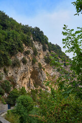 Rocky Mountain Cliffside, Lush Green Trees, Blue Sky