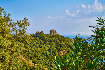 Naklejka premium Mountain Peak, Forest, Blue Sky Landscape