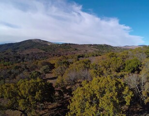 Obraz premium Panoramic view of a mountainous landscape with deciduous forest