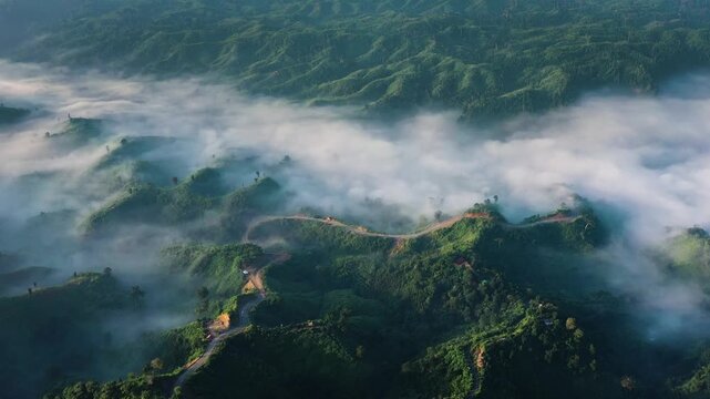 Aerial view of the Sajek valley shrouded in mist, where lush green hills meet a sea of white fog, creating a serene, dreamlike landscape, Sajek, Chittagong Division, Bangladesh.