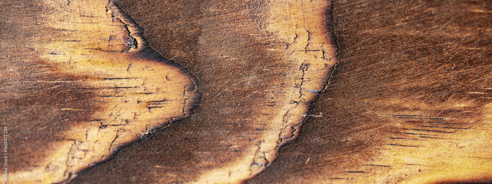 Poster closeup view of the intricate grain pattern of rustic hardwood surface. wood texture background