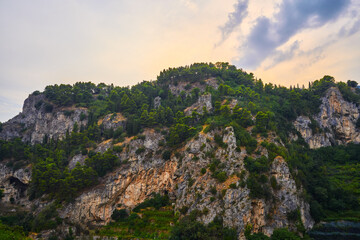 Mountain Forest, Cliffside, Sunset Sky