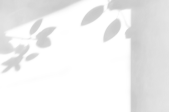 shadow overlay effects of realistic abstract natural tree leaves shadow on wall background,Summer sunlight and shadow on transparent background,shadow for photo interior backdrop studio mockup - Powered by Adobe