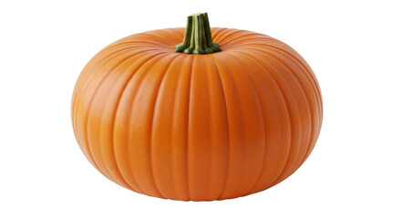 Isolated Ripe Orange Pumpkin