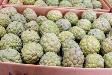 Many fresh sugar apples on sell at Asian local market. Tropical ripe sweet delicious sugar apple fruit at market.
