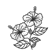 Hibiscus Illustration- High-Quality Floral Vector Graphic

