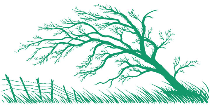 Green silhouette of a bare tree bending in the wind with a fence and grass isolated on transparent background