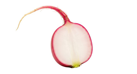 Isolated Half Radish