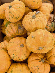 A pile of orange pumpkins sits on the counter. A spoiled harvest. A moldy pumpkin. A pumpkin for festivals, Halloween and Thanksgiving. Farm stand