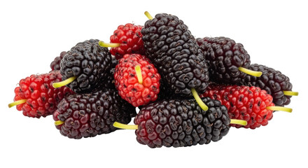 Isolated Pile of Mulberries