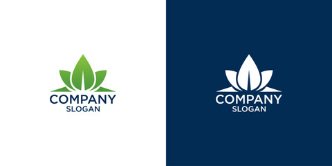 leaf logo design vector	