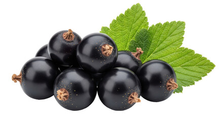 Isolated Blackcurrants