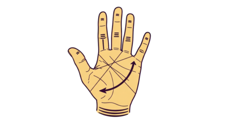 Isolated Hand Palm Reading
