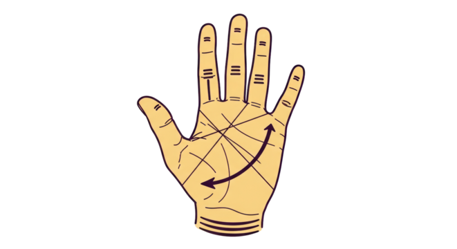Isolated Hand Palm Reading