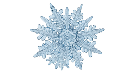 Isolated Snowflake Crystal