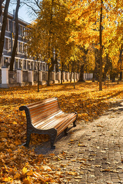 Golden Sunlight on Park Bench