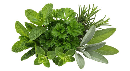 Isolated Fresh Herbs