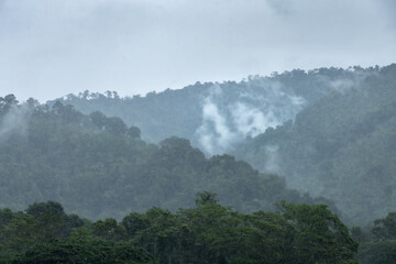 fog in the mountains