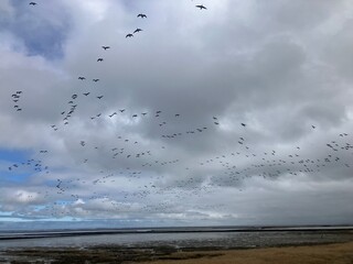Impressionen vom Strand von Dornumersiel an der Deutschen Nordseeküste	