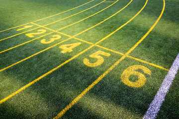 line of green grass