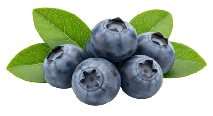 Isolated Blueberries